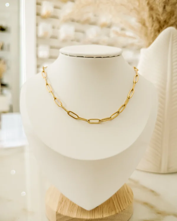 0afdd9f4c38972fc0138869b540488f4_photo-1.webp Big Clip