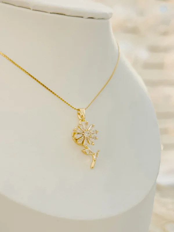 386245d2a17b988414c036dad04c8489_photo.webp Crystal Gira