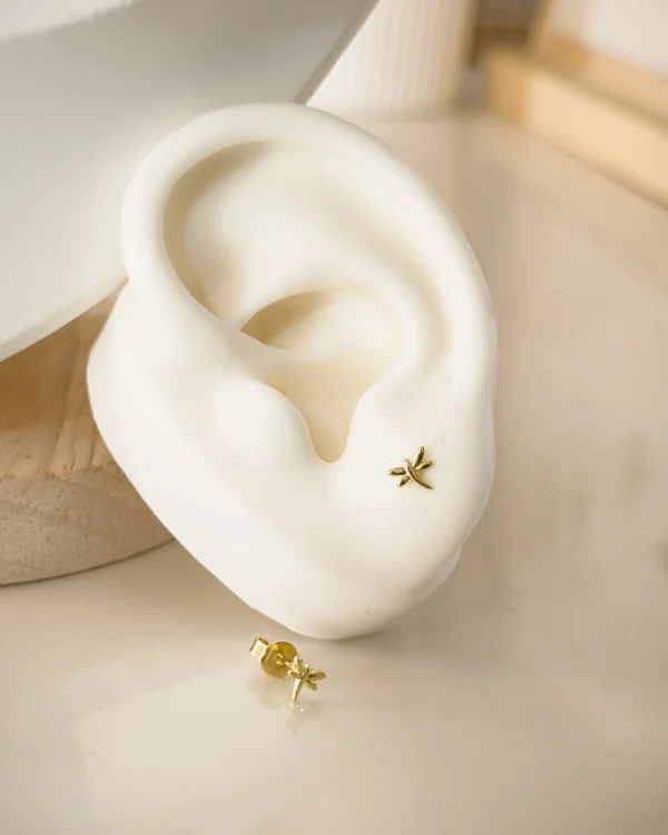 3e2cee7560d0fb0c657136c0384cf05f_photo-1.webp Mini Anax