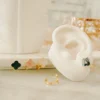 42fdb0624f549c12f6832d1799406bcf_photo.webp Candonga Clover