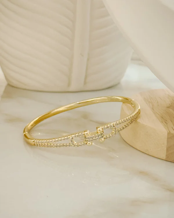 528ded0c70e07bd30abe74e9041941d8_photo.webp Pulso Chain Plus