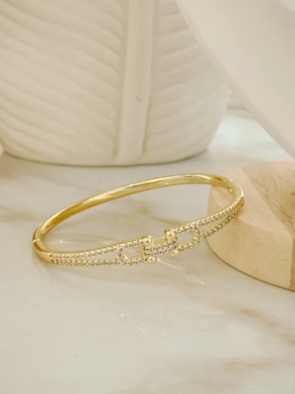 528ded0c70e07bd30abe74e9041941d8_photo.webp Pulso Chain Plus