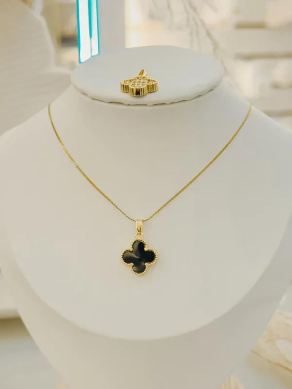 6e233087591d0efcd4fe9f313e35b168_photo.webp Clover Bicolor