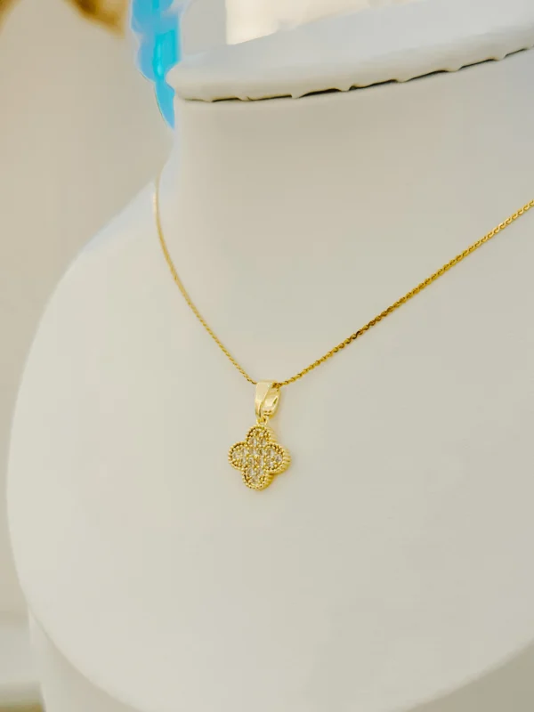 839170a6ccf31328c1581c7094c8c645_photo.webp Mini Star Clover