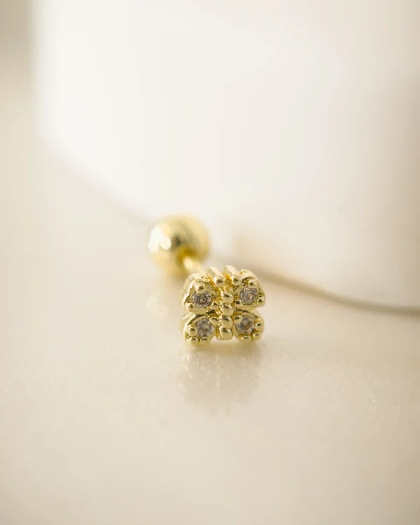 a1a5baaaac7d2c96193b7c7727634f27_photo-1.webp Mini Zoe Plus