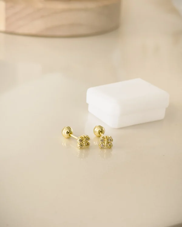 e413a0194fa8704c137cbbf24dfb3c32_photo-1.webp Mini Zoe Plus