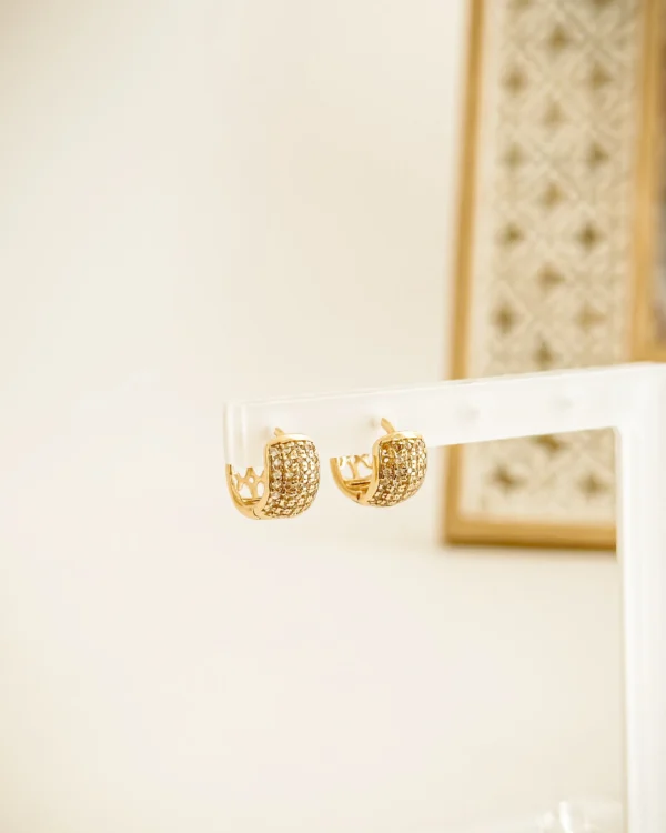 fe7ae540a794a9ba793a0a4d1bc697fa_photo-1.webp Elibeth Hoop