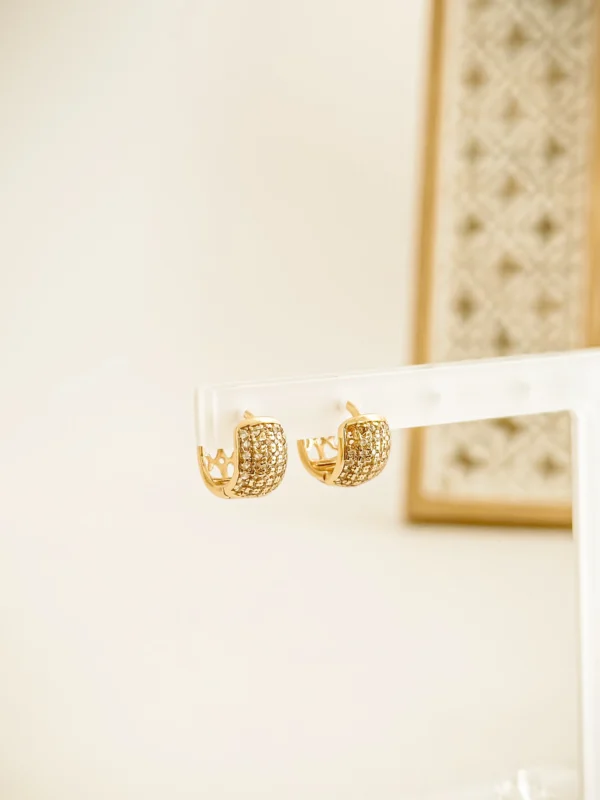 fe7ae540a794a9ba793a0a4d1bc697fa_photo-1.webp Elibeth Hoop