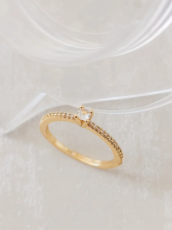 1000079298_optimized Luxur Star