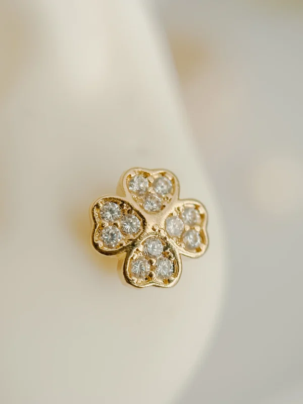 image00035_optimized Clover Cristal