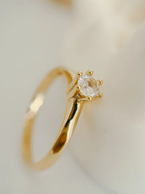 image00045_optimized Maxi Star