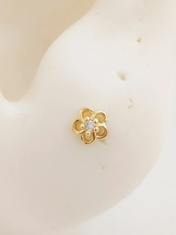 1000138176_optimized Mini Flor Clean