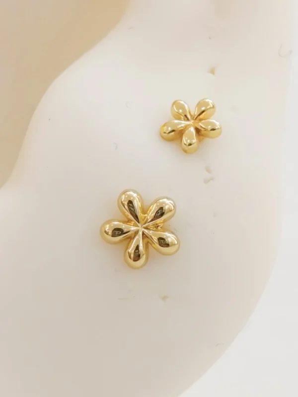 1000138177_optimized Mini Xiara (unidad)