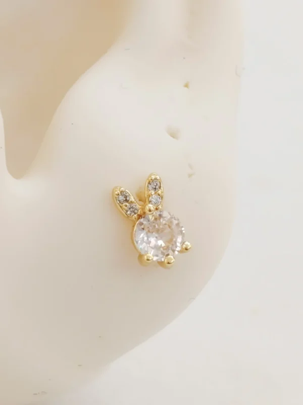 1000138180_optimized Mini Rabit Clean