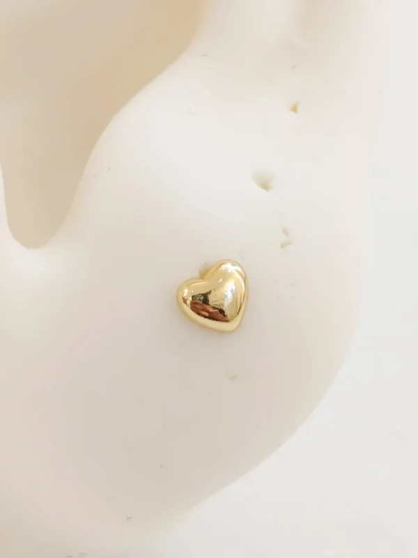 1000138188_optimized Mini Corazon Bumi