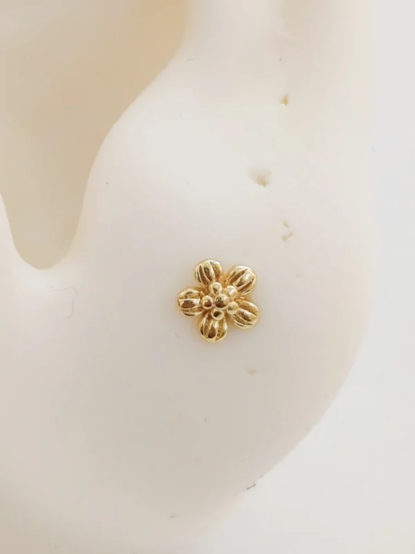 1000138210_optimized Mini Flor Gold