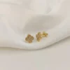 Clover Star