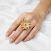 Rosa Anillo