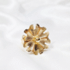 Rosa Anillo